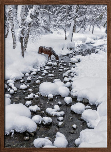Snowy Forest Horse | Poster - Walnut Frame Interior
