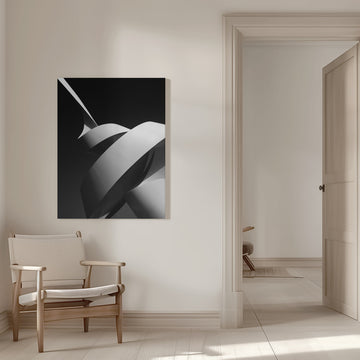 Modern Abstract Curves | Canvas - Room Interior 1