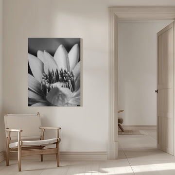 Serene Lotus Bloom | Canvas - Room Interior 1