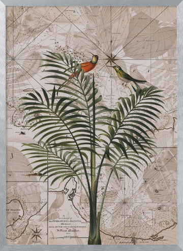 Tropical Birds on Vintage Map | Poster - Silver Frame Interior