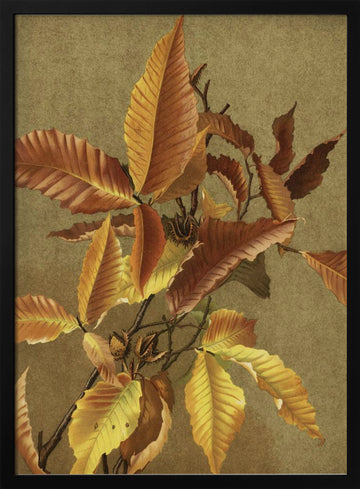 Autumn Leaves No. 3 Beech By Ellen Thayer Fisher | Poster - Black Metal Frame Interior