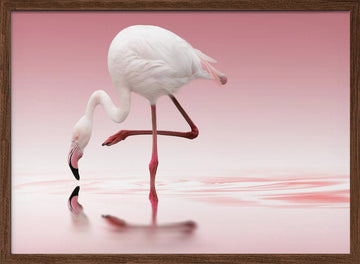 Pink Flamingo Reflection | Poster - Walnut Frame Interior