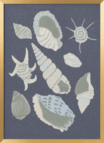 Seashells Collection | Poster - Gold Frame Interior