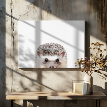 Peeking Hedgehog | Canvas - Room Interior 2