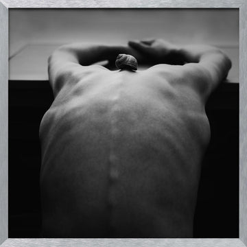 Snail on Human Back | Poster - Silver Frame Interior