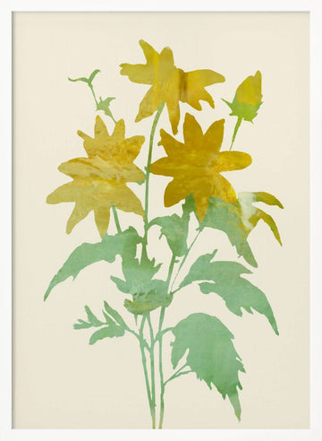 Gentle Yellow Blossoms | Poster - White Frame Interior