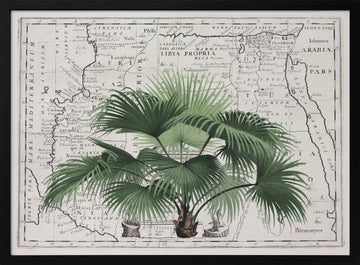 Vintage Palm on Africa Map | Poster - Black Metal Frame Interior
