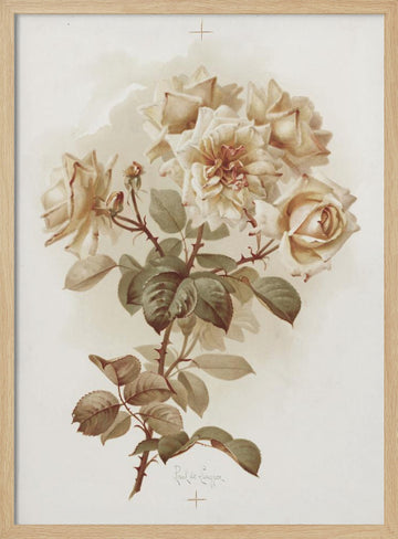 Yellow Roses; Reve D'or Roses | Poster - Wood Frame Interior
