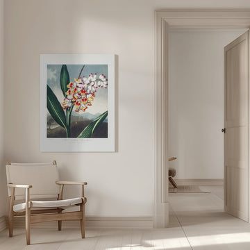 The Nodding Renealmia from The Temple of Flora (1807) | Canvas - Room Interior 1