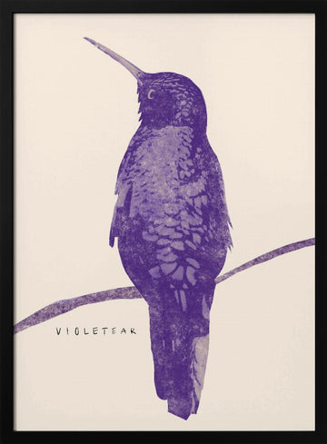 Elegant Violet Hummingbird | Poster - Black Metal Frame Interior