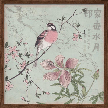 Pink Bird Cherry Blossoms | Poster - Walnut Frame Interior