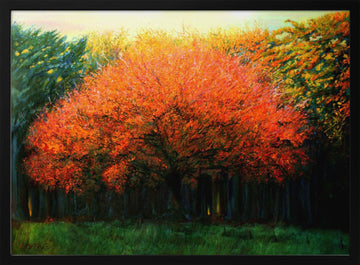 Vibrant Fall Tree | Poster - Black Metal Frame Interior