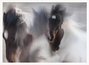 Spirited Horse Motion | Poster - White Frame Interior