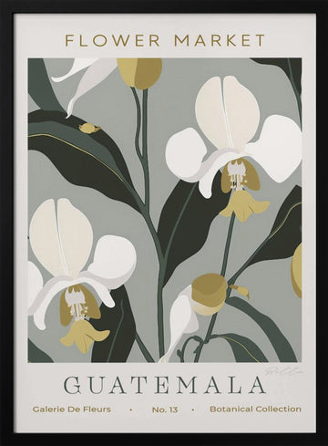 Tropical Guatemala Orchids | Poster - Black Metal Frame Interior
