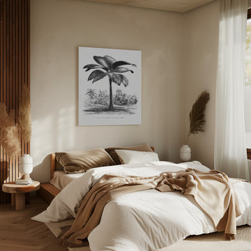 Vintage Palm Tree Drawing Iii | Canvas - Room Interior 2