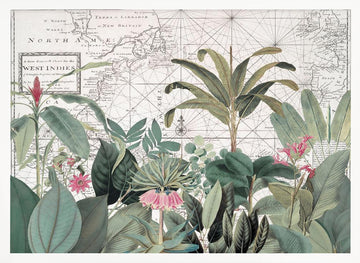 Vintage Map Botanicals | Poster - White Frame Interior