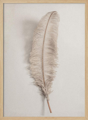 Delicate Light Feather | Poster - Wood Frame Interior