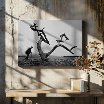 Old Man Lone Tree | Canvas - Room Interior 2