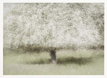 In the backyard | Poster - White Frame Interior