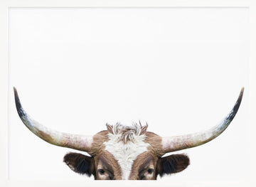 Peeking Longhorn Cow | Poster - White Frame Interior