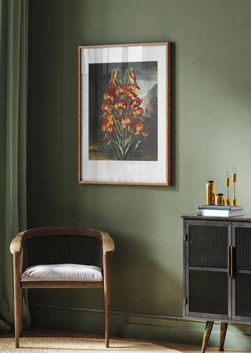 The Superb Lily from The Temple of Flora (1807) | Poster - Room Interior 2