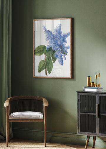 California Lilac (1935) | Poster - Room Interior 2