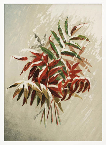 Leaves In Snow | Poster - White Frame Interior