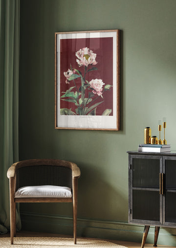 Hærdaceous Peony no2 | Poster - Room Interior 2