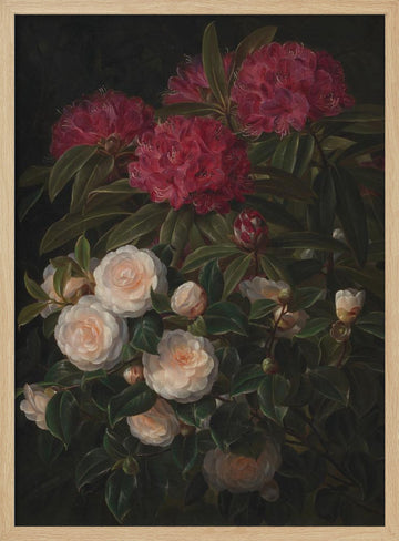 Camellias and Rhododendrons By Johan Laurentz Jensen | Poster - Wood Frame Interior