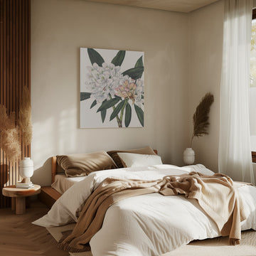 Rosebay Rhododendron From North American Wildflowers (1925) By Mary Vaux Walcott. | Canvas - Room Interior 2