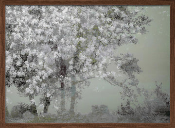 Spring | Poster - Walnut Frame Interior
