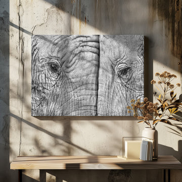 Monochrome Elephant Gaze | Canvas - Room Interior 2