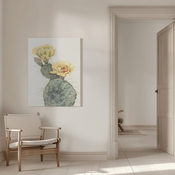 Missouri Prickly Pear From North American Wildflowers (1925) By Mary Vaux Walcott. | Canvas - Room Interior 1