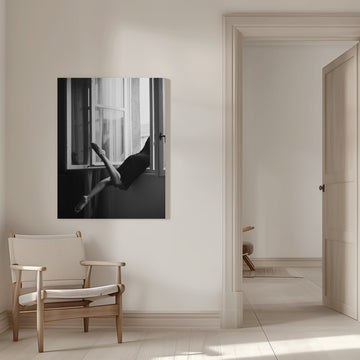 Graceful Legs Open Window | Canvas - Room Interior 1