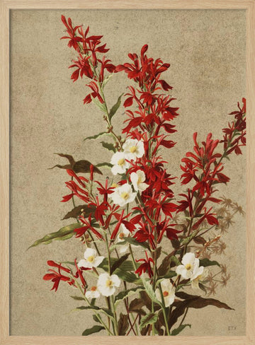 Cardinal Flowers | Poster - Wood Frame Interior