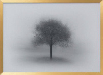 Misty Solitary Tree | Poster - Gold Frame Interior