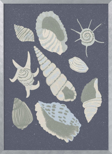 Seashells Collection | Poster - Silver Frame Interior