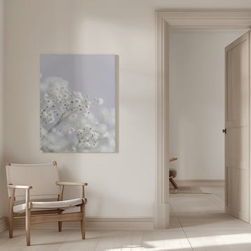 White Breath Flowers | Canvas - Canvas Interior