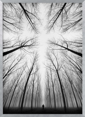 Lone Figure Foggy Forest | Poster - Silver Frame Interior