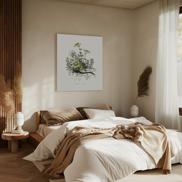 Chamomile (anthemis Nobilis) Medical Botany | Canvas - Room Interior 2