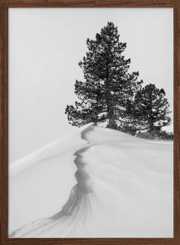 Winter Ridge Pines | Poster - Walnut Frame Interior