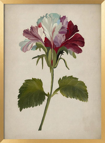 Vibrant Geranium Bloom | Poster - Gold Frame Interior