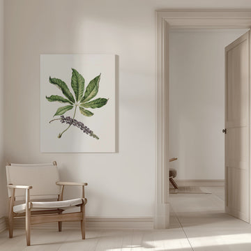 Antique Plant Drawn By Sarah Featon (1848–1927) | Canvas - Room Interior 1