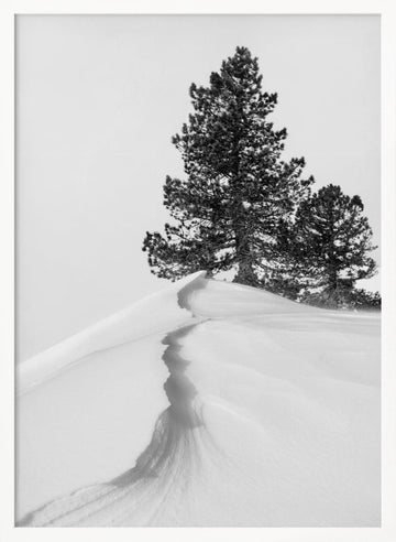 Winter Ridge Pines | Poster - White Frame Interior