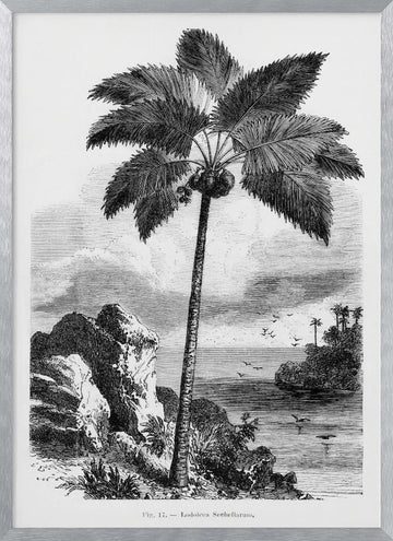 Vintage Palm Tree Drawing I | Poster - Silver Frame Interior