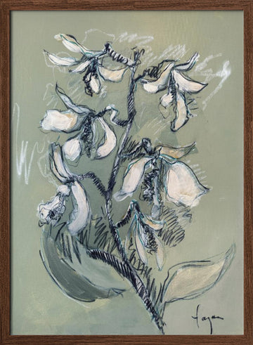 White Floral Sketch | Poster - Walnut Frame Interior