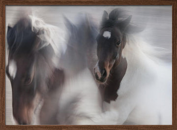Spirited Horse Motion | Poster - Walnut Frame Interior