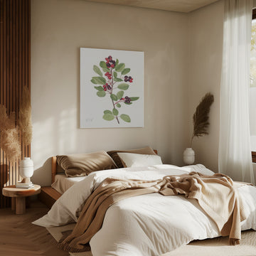 Saskatoon From North American Wildflowers (1925) By Mary Vaux Walcott | Canvas - Room Interior 2