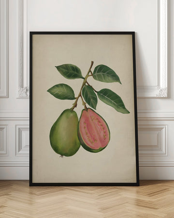 Fresh Guava Botanical | Poster - Room Interior 1