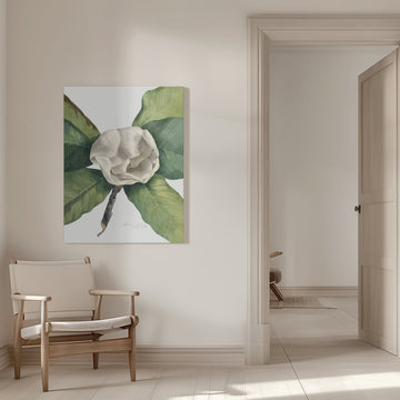Southern Magnolia (1918) | Canvas - Room Interior 1